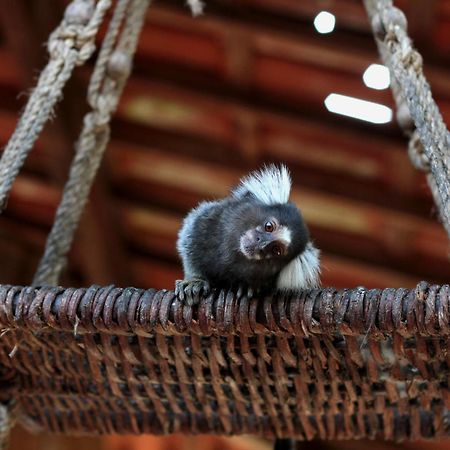 Hotel Fazenda Pedra Do Rodeadouro Bonito  Zewnętrze zdjęcie