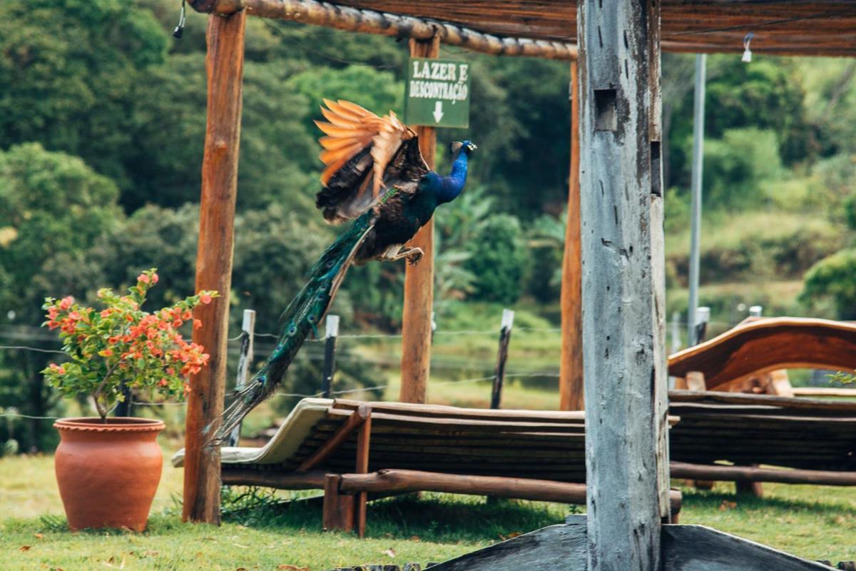 Hotel Fazenda Pedra Do Rodeadouro Bonito  Zewnętrze zdjęcie