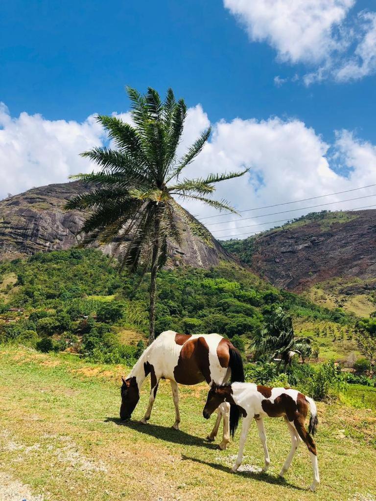 Hotel Fazenda Pedra Do Rodeadouro Bonito  Zewnętrze zdjęcie