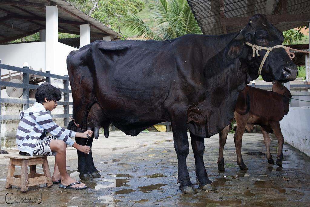 Hotel Fazenda Pedra Do Rodeadouro Bonito  Zewnętrze zdjęcie
